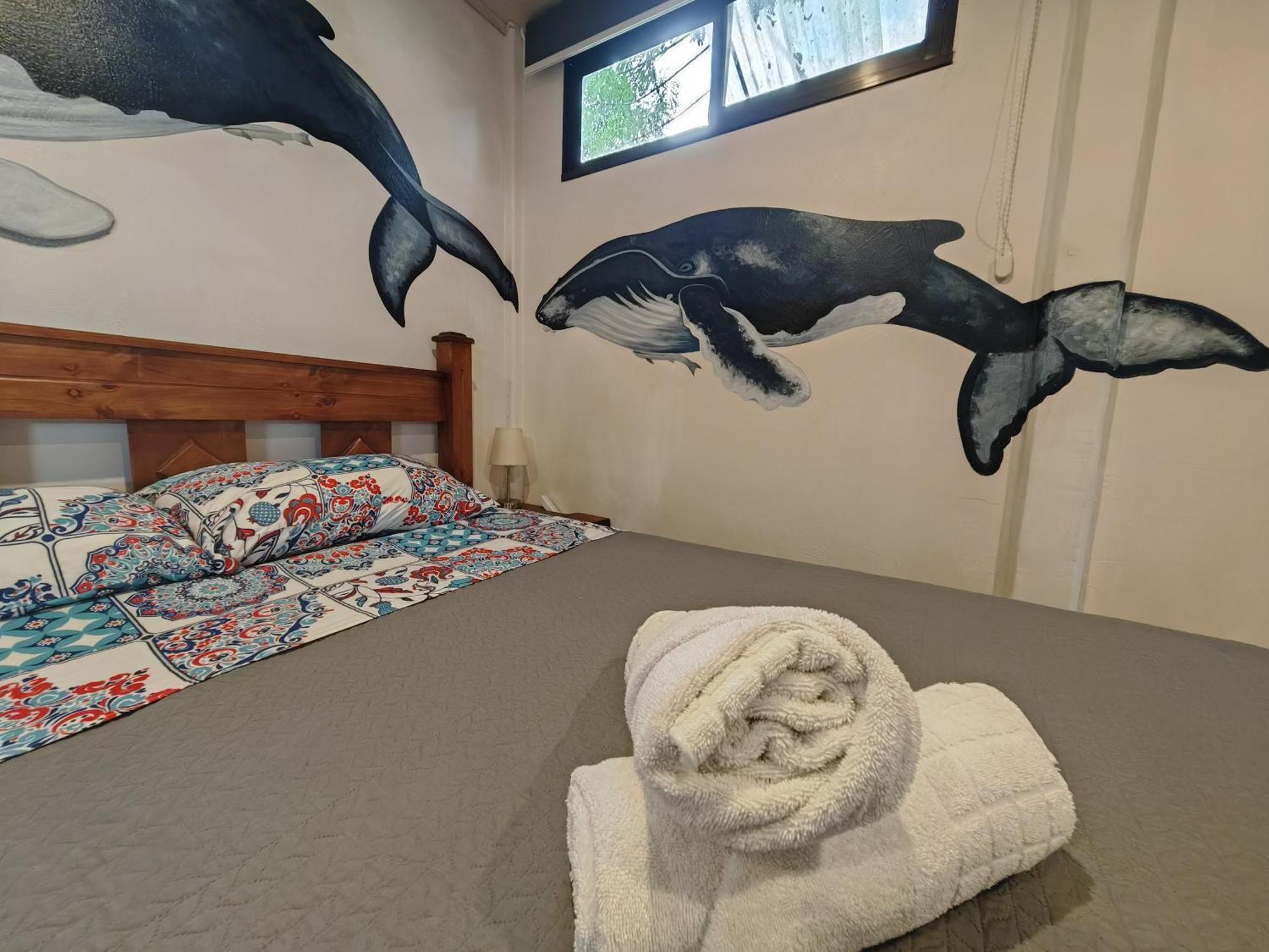 Tucan Hotel ウビタ 部屋 写真