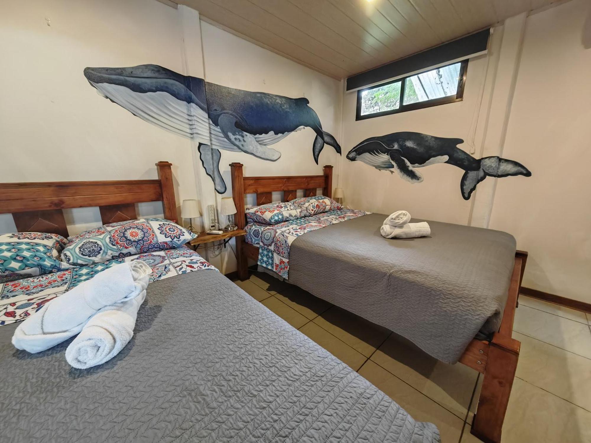 Tucan Hotel ウビタ 部屋 写真